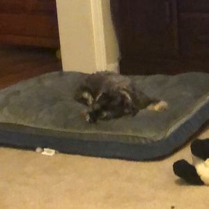 Meet your Posher, Jayme